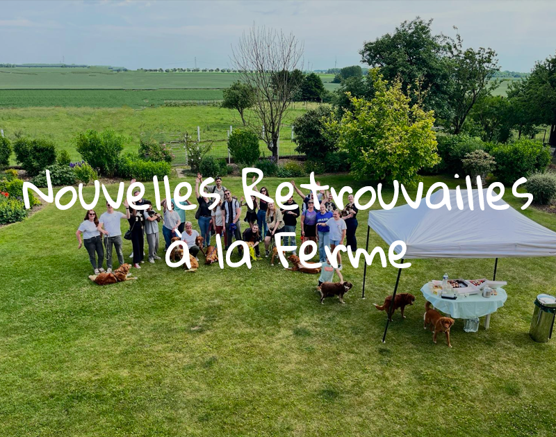 Nouvelles Retrouvailles à la Ferme – 5 ans de Retrievers de la Nouvelle-Écosse