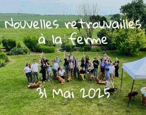 Nouvelles retrouvailles à la ferme de la Haye de Genêt