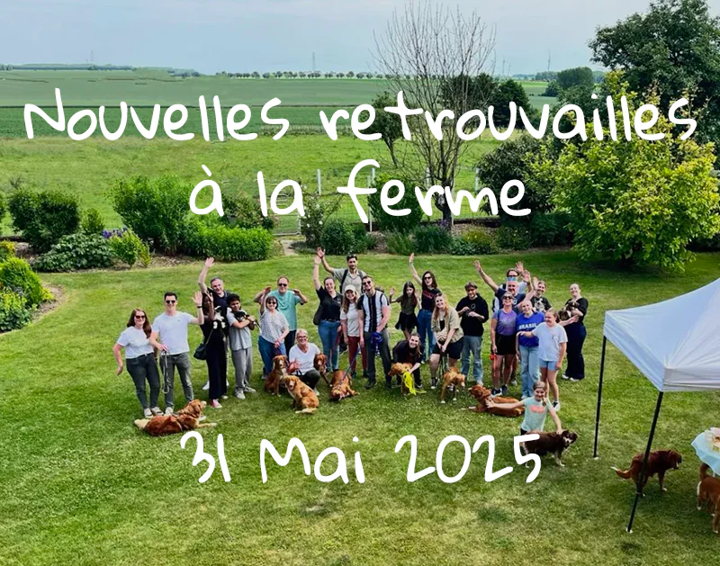 Nouvelles Retrouvailles à la Ferme – 5 ans de Retrievers de la Nouvelle-Écosse