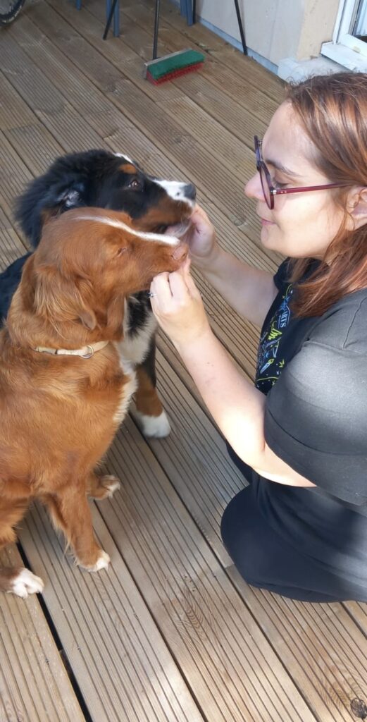 Adopter nove scottia