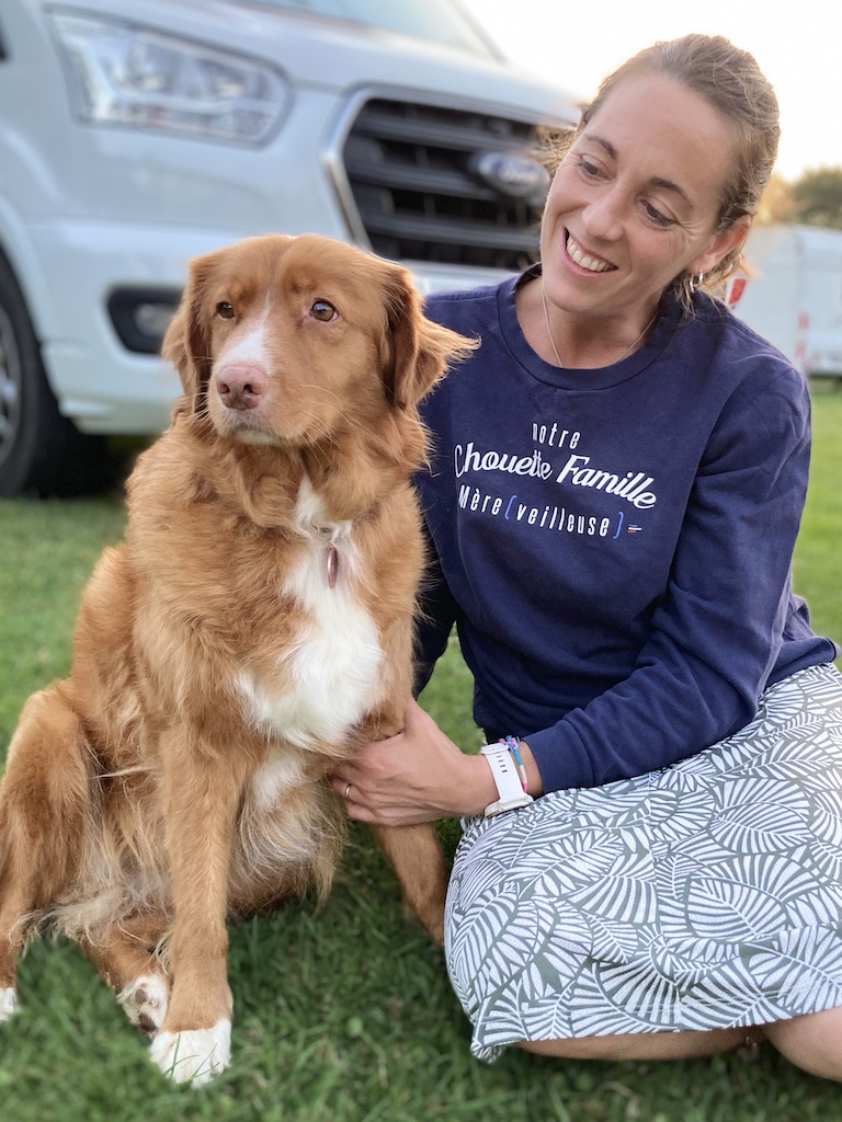 Retriever de la nouvelle écosse, retraite